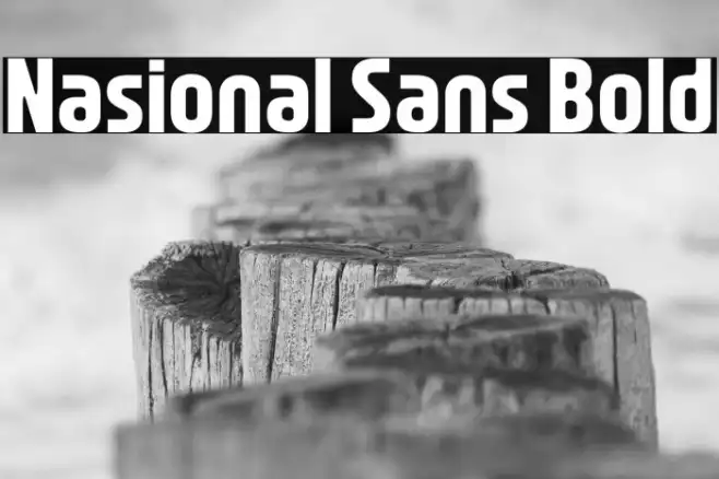 Nasional Sans Bold Example 1