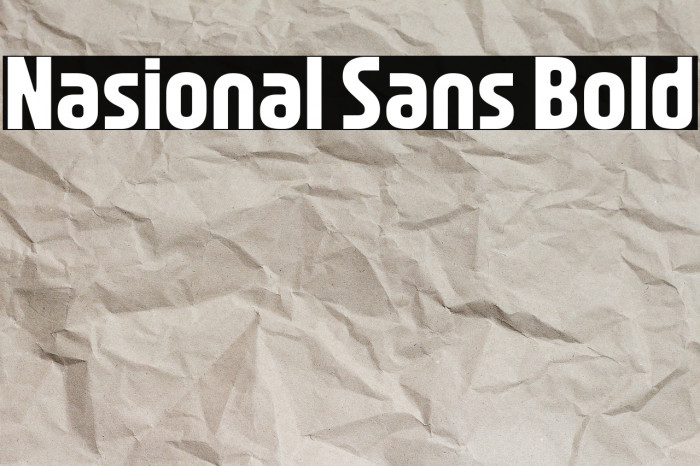Nasional Sans Bold Example 2