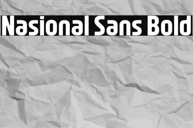 Nasional Sans Bold Example 2