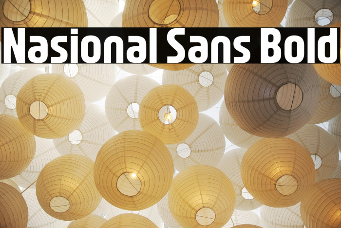 Nasional Sans Bold Example 3