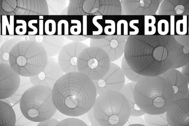 Nasional Sans Bold Example 3