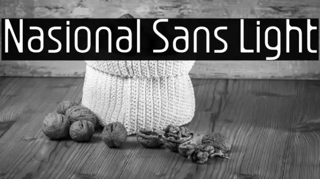 Nasional Sans Light Example 1
