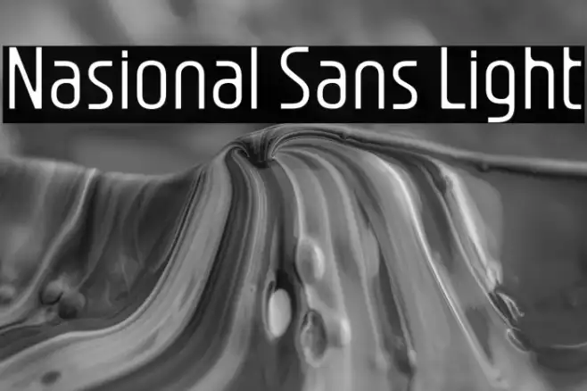 Nasional Sans Light Example 2