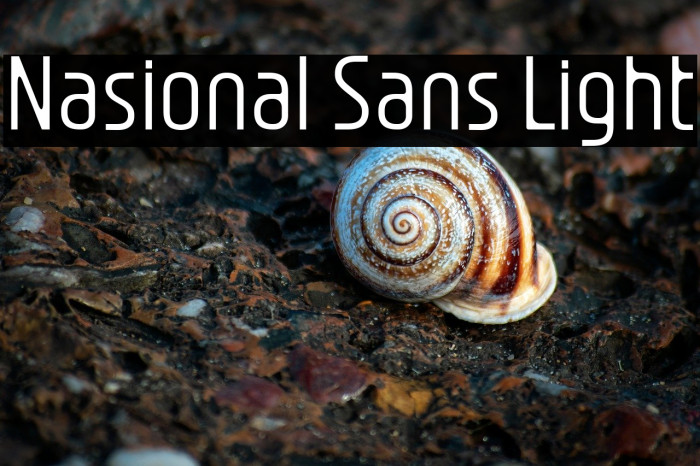 Nasional Sans Light Example 3