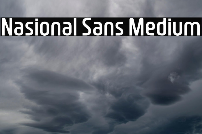 Nasional Sans Medium Example 1