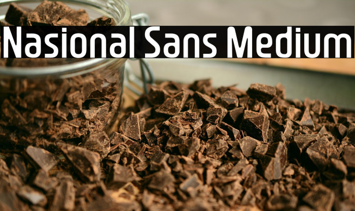 Nasional Sans Medium Example 2