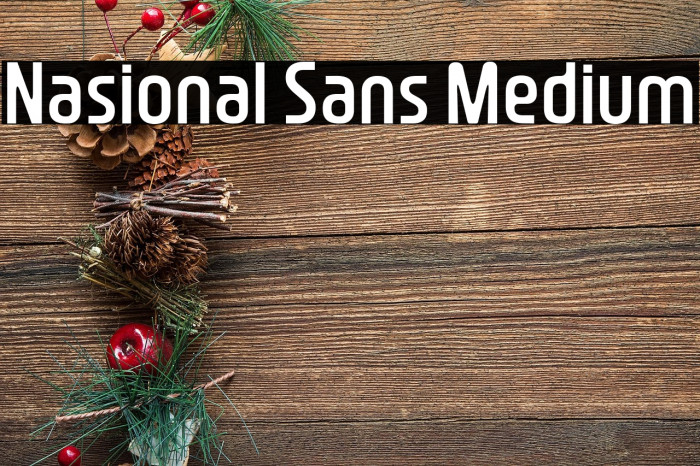 Nasional Sans Medium Example 3