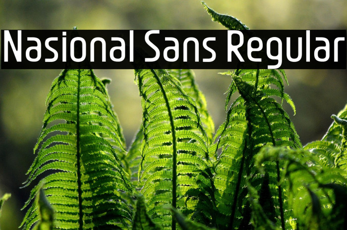 Nasional Sans Regular Example 1