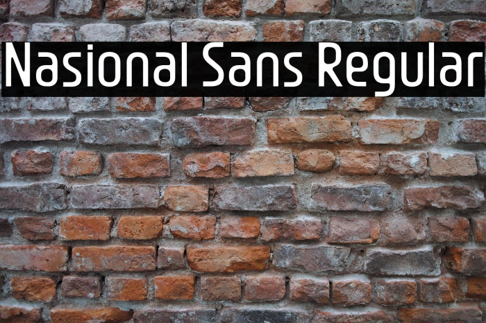 Nasional Sans Regular Example 2