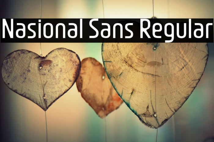 Nasional Sans Regular Example 3