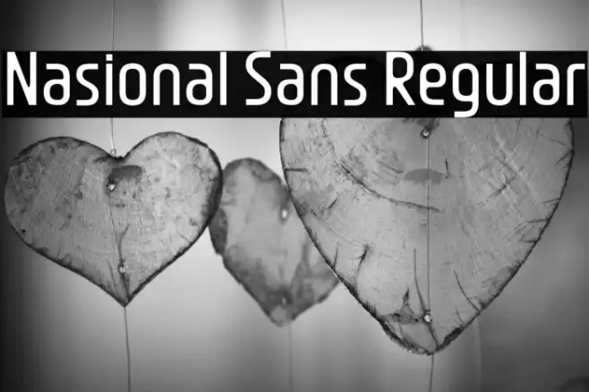Nasional Sans Regular Example 3