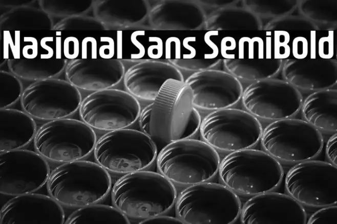 Nasional Sans SemiBold Example 1