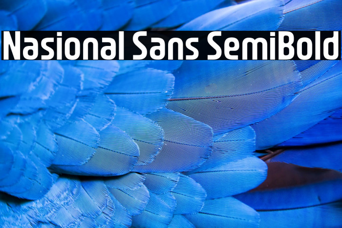Nasional Sans SemiBold Example 3