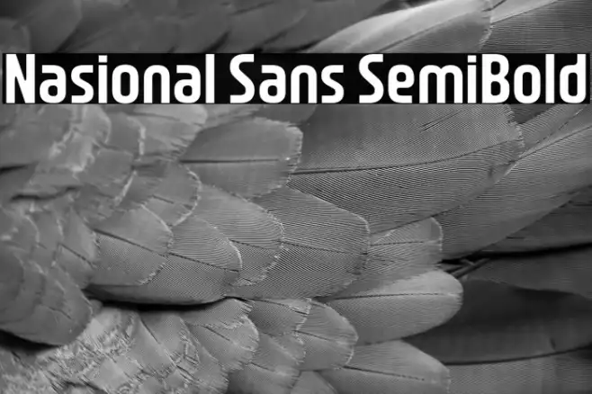 Nasional Sans SemiBold Example 3
