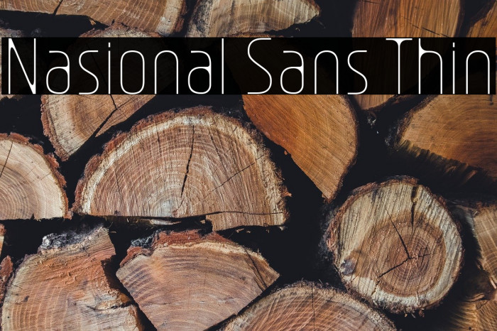 Nasional Sans Thin Example 1