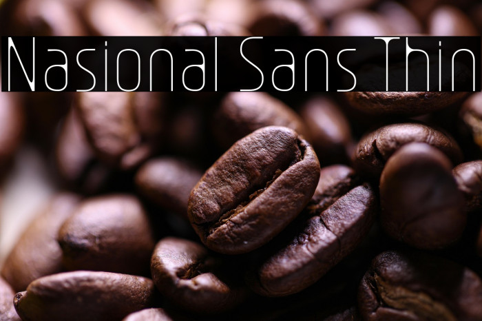 Nasional Sans Thin Example 2