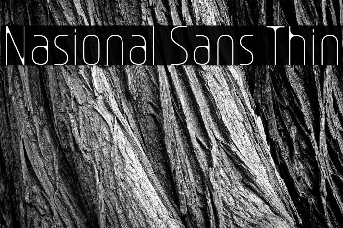 Nasional Sans Thin Example 3