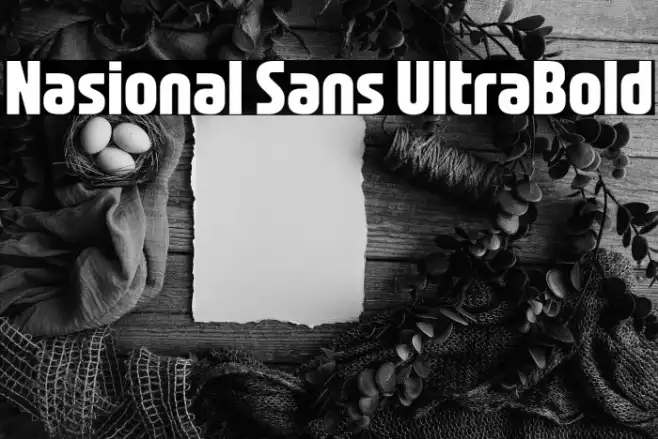 Nasional Sans UltraBold Example 1
