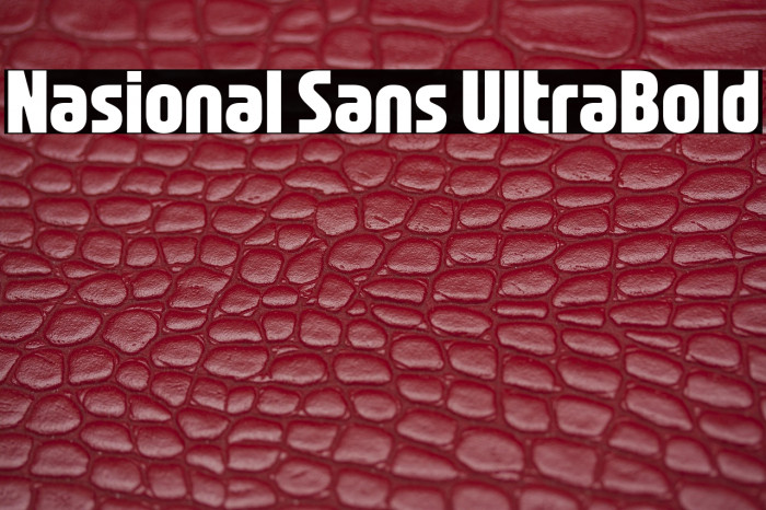 Nasional Sans UltraBold Example 2