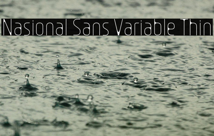 Nasional Sans Variable Thin Example 1