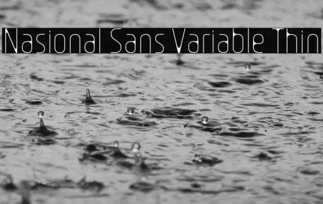 Nasional Sans Variable Thin Example 1