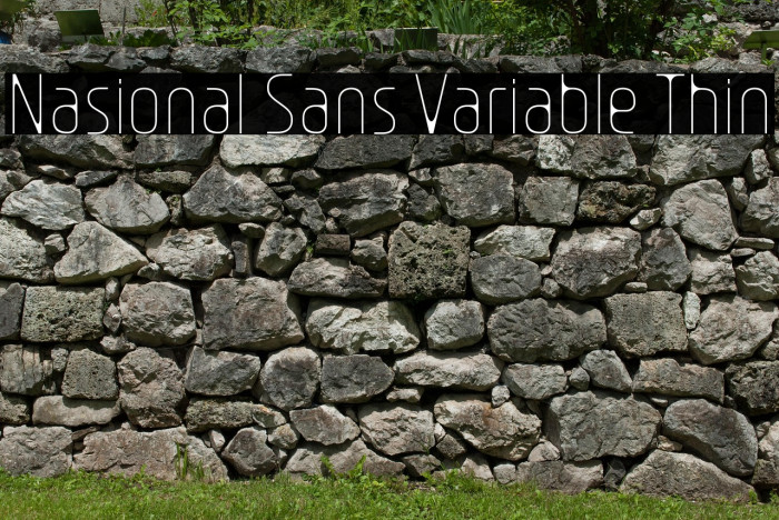 Nasional Sans Variable Thin Example 2