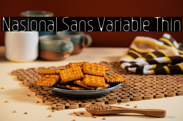 Nasional Sans Variable Thin Example 3