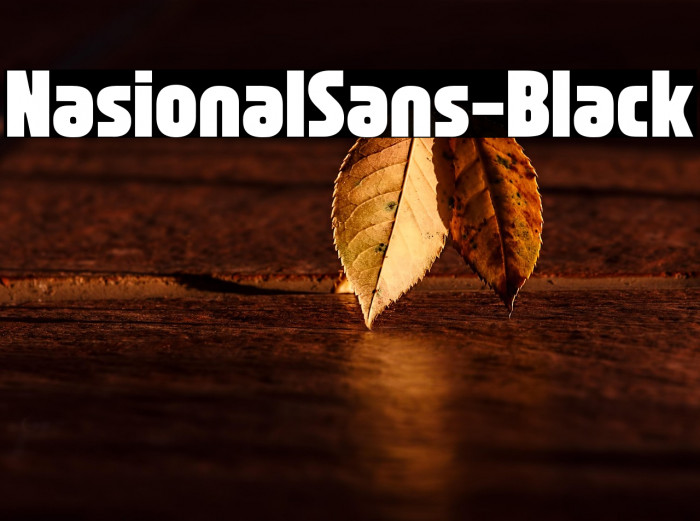 NasionalSans-Black Example 1