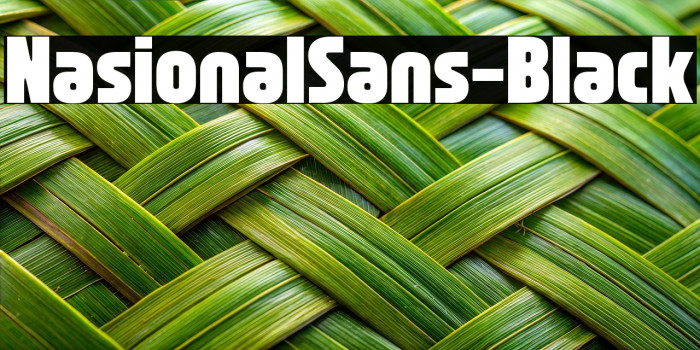 NasionalSans-Black Example 2