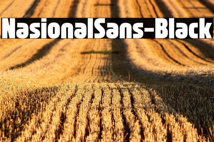 NasionalSans-Black Example 3