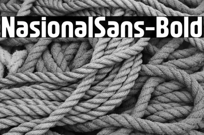 NasionalSans-Bold خط examples