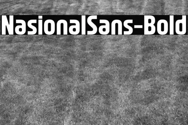 NasionalSans-Bold خط examples