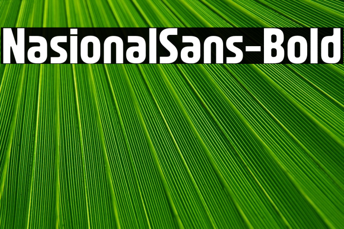 NasionalSans-Bold Example 3