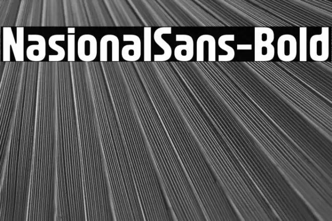 NasionalSans-Bold خط examples