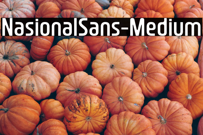 NasionalSans-Medium Example 1