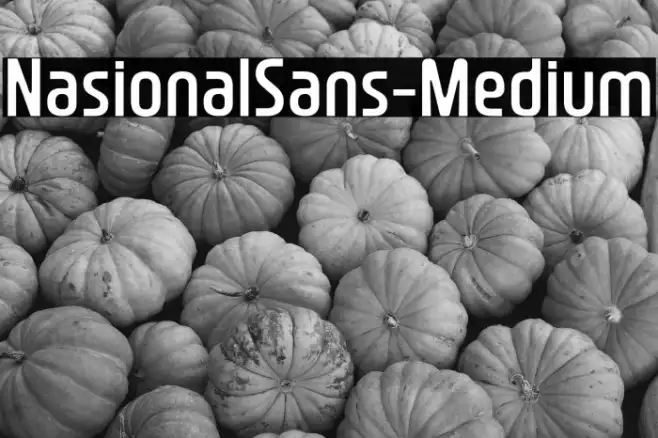 NasionalSans-Medium Example 1