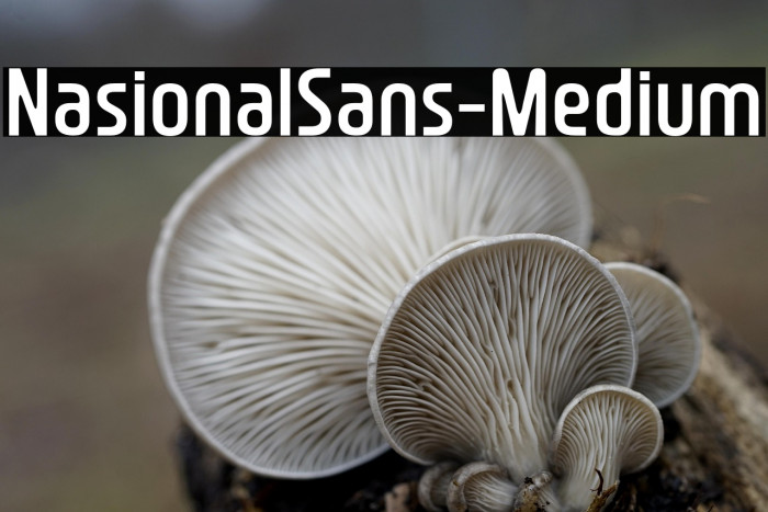 NasionalSans-Medium Example 2