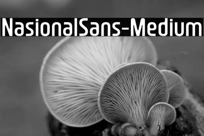 NasionalSans-Medium Example 2