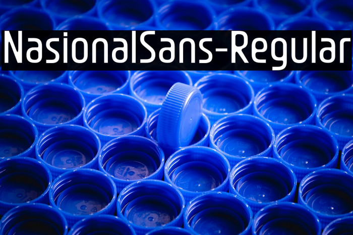 NasionalSans-Regular Example 2
