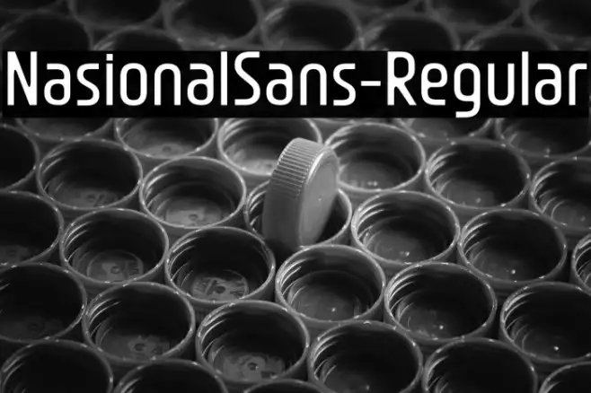 NasionalSans-Regular Example 2
