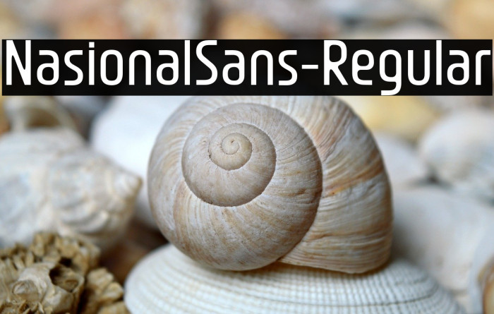 NasionalSans-Regular Example 3