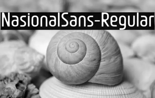 NasionalSans-Regular Example 3
