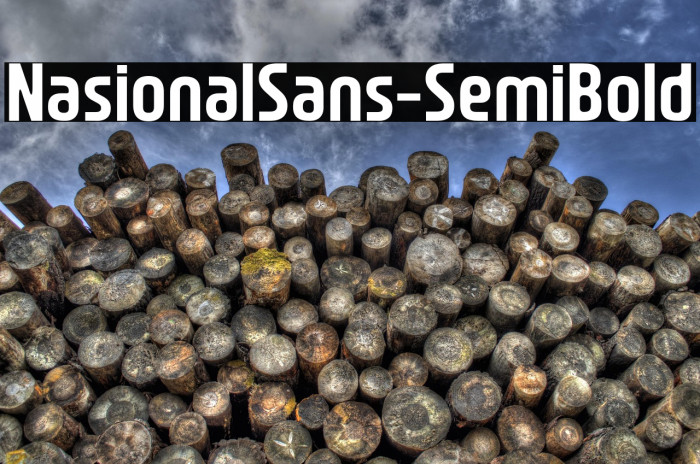 NasionalSans-SemiBold Example 1