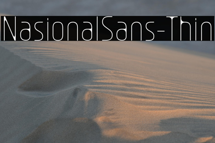 NasionalSans-Thin Example 1