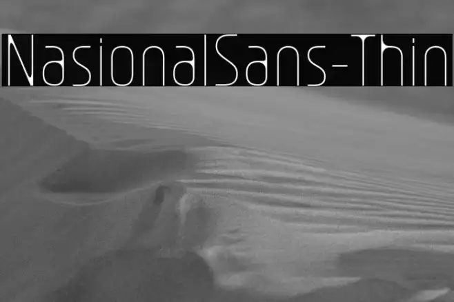 NasionalSans-Thin Example 1