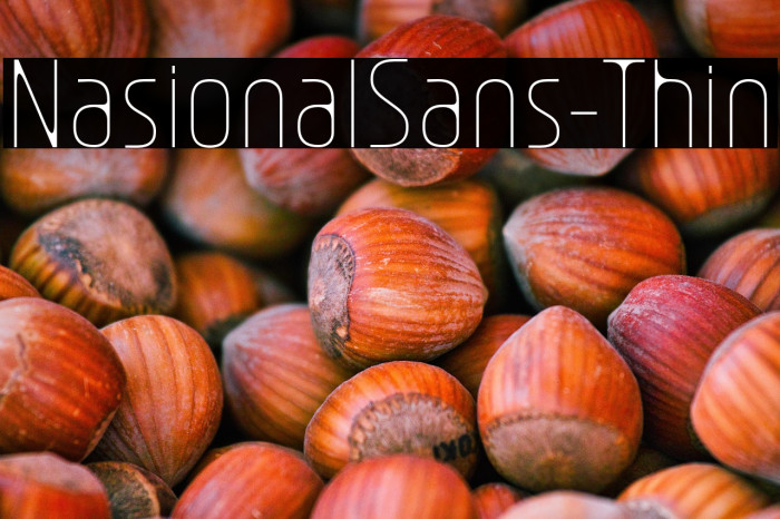 NasionalSans-Thin Example 2