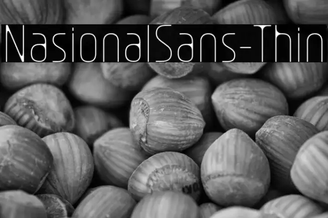 NasionalSans-Thin Example 2