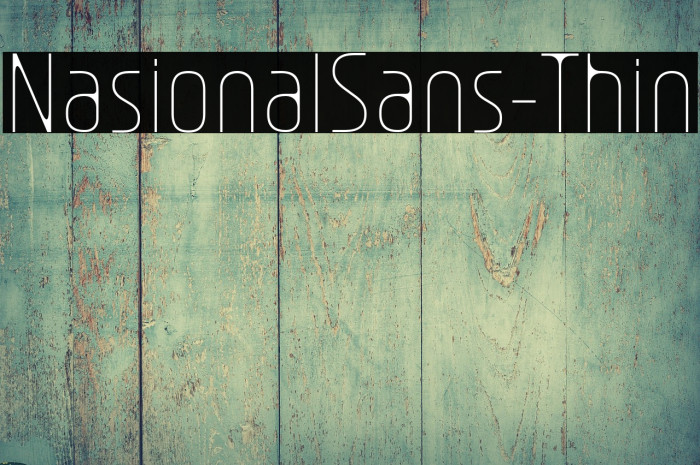 NasionalSans-Thin Example 3