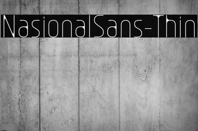 NasionalSans-Thin Example 3