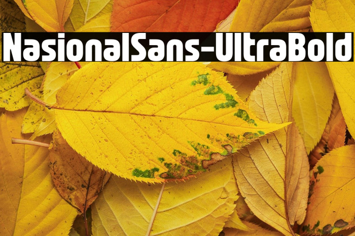 NasionalSans-UltraBold Example 1